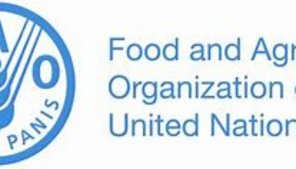 Deputy FAO Representative in the Democratic Republic of the Congo Job Ref. DRC/FAO/082307