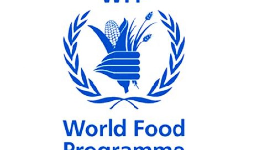 Head of Field Office – Ouesso – CST II, Job Ref. CG/WFP/0407/2510